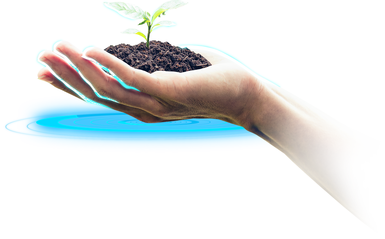 Sostenibilidad Planta